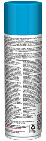 SPRA57179 Sprayway Professional Orange Citrus Crazy Clean 19oz